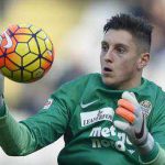 gollinipierluigi_201604111537_400x265