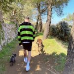 Petagna