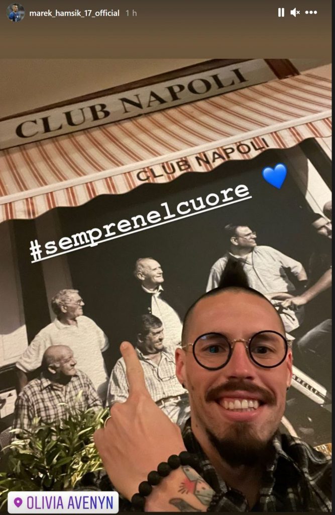 hamsik-svezia
