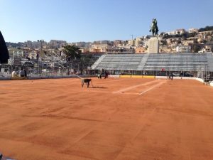 tennisclubnapoli1
