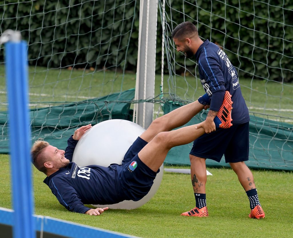 insigne immobile