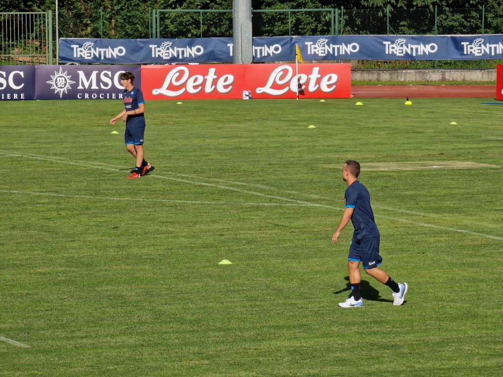 lobotka