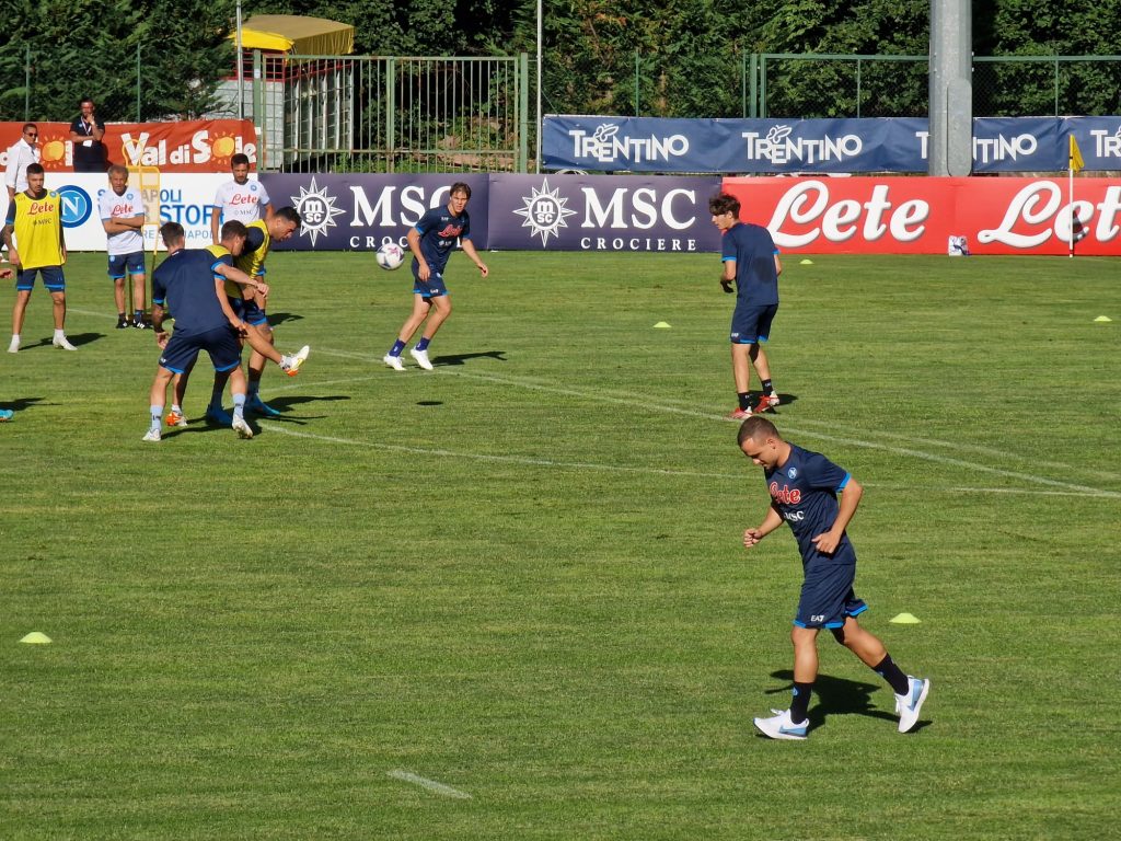 lobotka palestra
