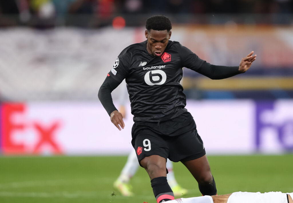 david napoli osimhen