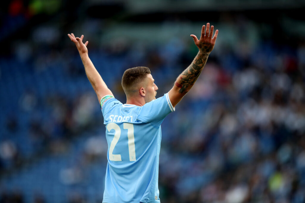 milinkovic savic
