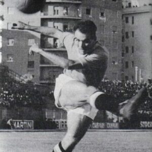 luis vinicio