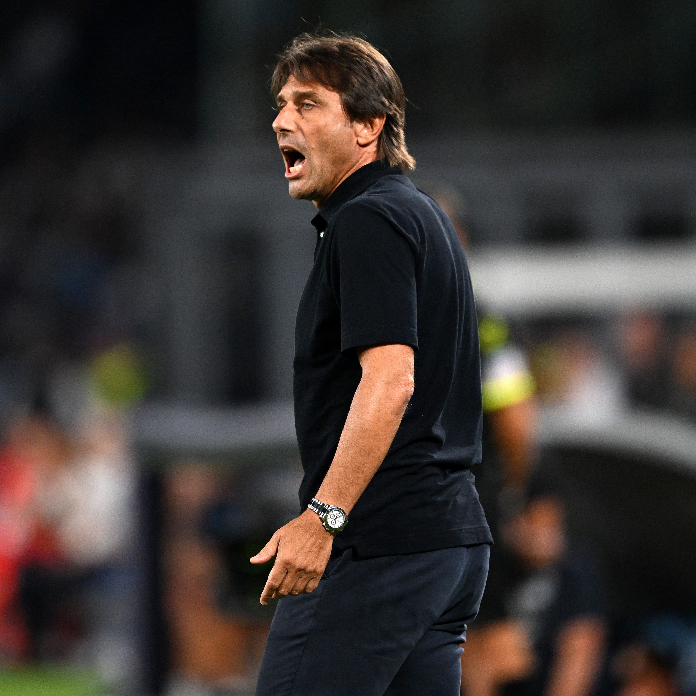 conte