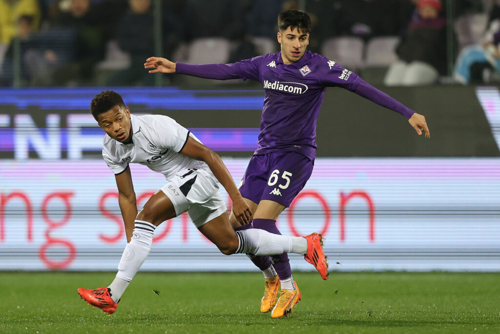 Fiorentina v Napoli - Serie A