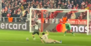 Kim Bayern