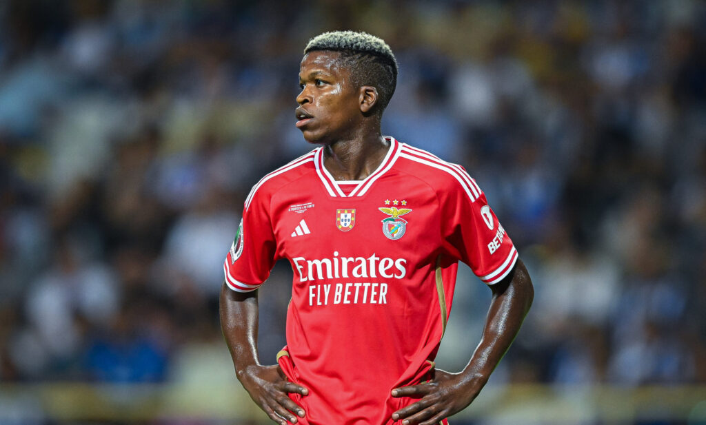 florentino luis napoli