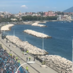 parlato palmeri