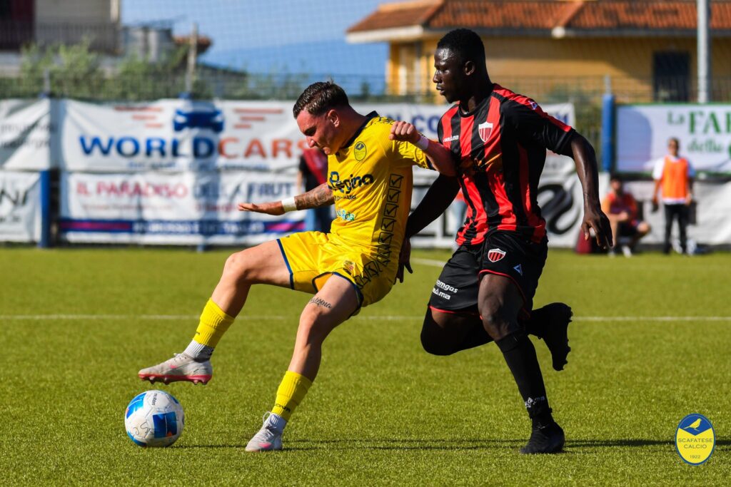 scafatese nocerina