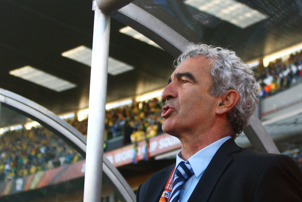 France v South Africa: Group A - 2010 FIFA World Cup