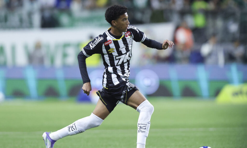 Palmeiras v Santos - Brasileirao 2025