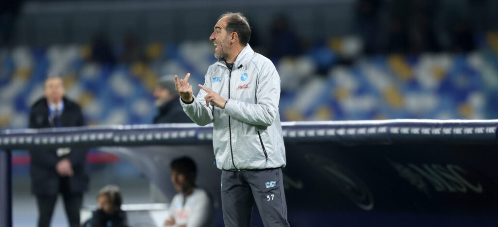 stellini napoli conte