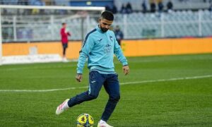 insigne