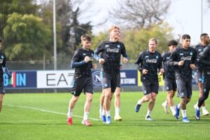 napoli udinese